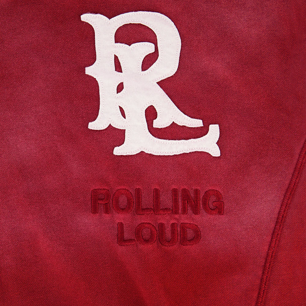 RL APPLIQUE HOODIE - Image 4
