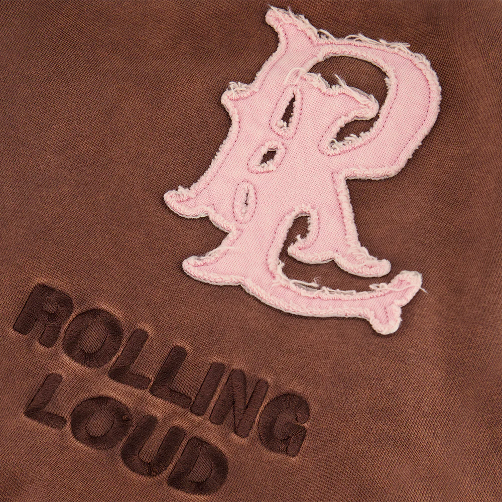RL APPLIQUE ZIP UP HOODIE - Image 5